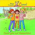 Conni geht auf Klassenfahrt / Conni Erzählbände Bd.3