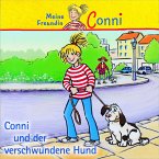 Conni und der verschwundene Hund / Conni Erzählbände Bd.6