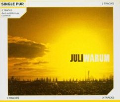 Cover Warum (2-Track)