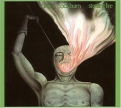 Stealing Fire - Cockburn,Bruce