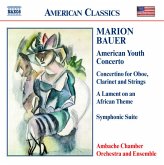 American Youth Concerto/+