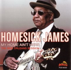 My Home Ain'T Here - Homesick James