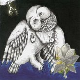 The Magnolia Electric Co The Magnolia Electric Co