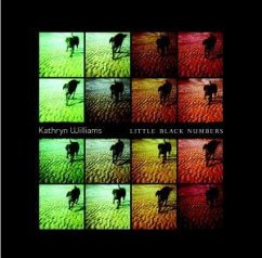 Cover Little Black Numbers