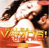 Vamos ! Vol.13-Salsa And Mor