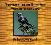 Erdenklangstrasse Ii-Voices