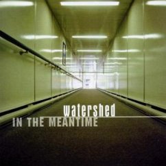 Cover In The Meantime