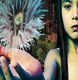 Lifeforms Lifeforms