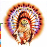 VOICES OF THE REALWORLD