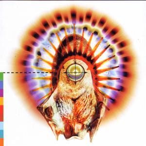 VOICES OF THE REALWORLD VOICES OF THE REALWORLD