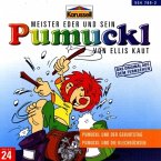 Pumuckl und der Geburtstag/Pumuckl und die Blechbüchsen / Pumuckl Bd.24 (1 Audio-CD)