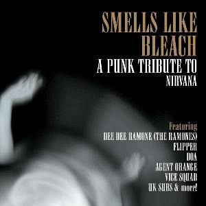 Smells Like Bleach - A Tribute To Nirvana Smells Like Bleach - A Tribute To Nirvana