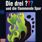 Die drei Fragezeichen und die flammende Spur / Die drei Fragezeichen - Hörbuch Bd.20 (1 Audio-CD)