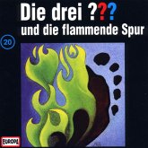 Die drei Fragezeichen und die flammende Spur / Die drei Fragezeichen - Hörbuch Bd.20 (1 Audio-CD)