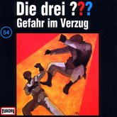 Gefahr im Verzug / Die drei Fragezeichen - Hörbuch Bd.54 (1 Audio-CD)