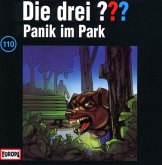 Panik im Park / Die drei Fragezeichen Bd.110 (CD)