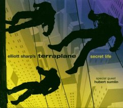 Secret Life - Elliott Sharp'S Terraplane