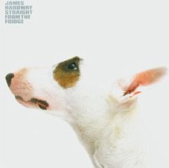 Cover Straight From The Fridge