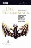 Die Fledermaus