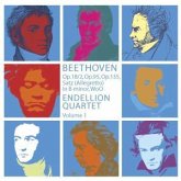Streichquartette Vol. 1