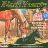 Black Beauty 3: In London & Black Beauty Fohlen