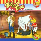 Das Fohlen / Bibi & Tina Bd.1 (1 Audio-CD)