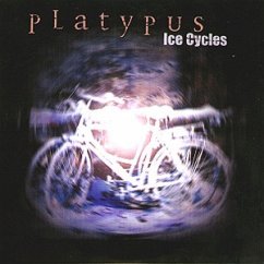 Cover Ice Cycles