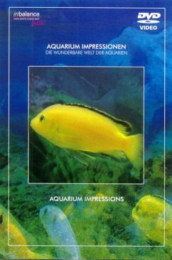 Aquarium Impressionen - Diverse