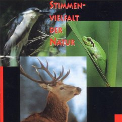 Stimmenvielfalt Der Natur - Diverse