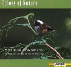 Cover Morning Songbird