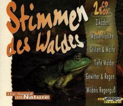 Cover Stimmen des Waldes