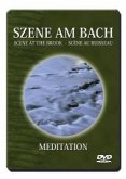 Szene am Bach - Transzendentale Meditation