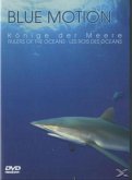 Blue Motion - Könige der Meere