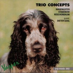 Trio Concepts - Wagenleiter/Stabenow/Rüschenbaum Trio Concepts - Wagenleiter/Stabenow/Rüschenbaum