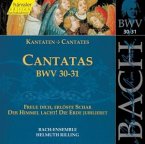 Kantaten Bwv 30+31