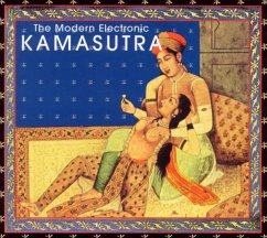 Modern Electronic Kamasutra - Diverse