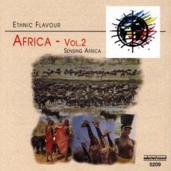 Ethnic Flavour - Africa Vol. 2