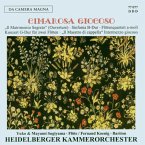 Sinfonia/Konzert Für 2 Flöten/Maestro Di Capella/+ Sinfonia/Konzert Für 2 Flöten/Maestro Di Capella/+