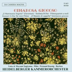 Cover Sinfonia/Konzert Für 2 Flöten/Maestro Di Capella/+