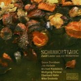 Schubertiade-12 Lieder Aus D