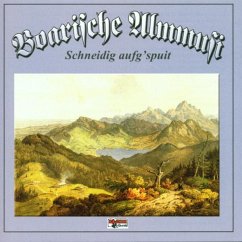 Schneidig Aufg'Spuit-Instrumental - Boarische Almmusi