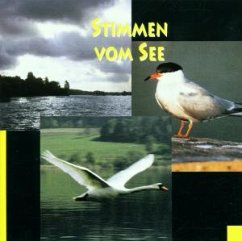 Cover Stimmen Vom See