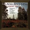Schubert & Co Lieder - Bild 1