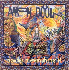 Nada Moonshine - Amon Düül Ii