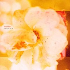 Cover The Other Fool Ep