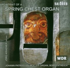Portrait Of A Spring Chest Organ - Kraemer,Jörg