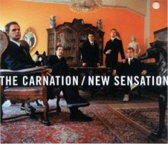 New Sensation - Carnation