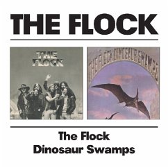 Dinosaur Swamps - Flock,The