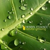 Natural Growing Natural Growing