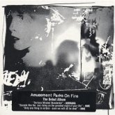 Amusement Parks On Fire